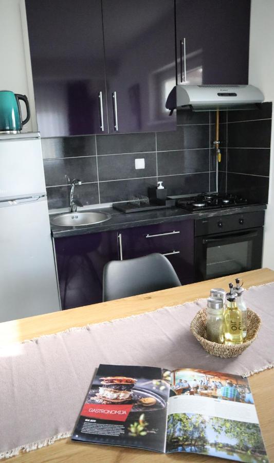 Apartment Sandra Toplice Sveti Martin Свети Мартин на Мури Екстериор снимка